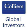 Logo Colliers Global Investors