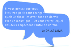 Citation Dalï-Lama : Si vous pensez que vous êtes trop petit pour changre quelque chose, ssayer donc de dormir avec un moustique... et vous verrez lequel des deux empêchent l'autre de dormir.