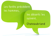 Citation Chateaubriand : Les forêts précèdent les hommes, les déserts les suivent.